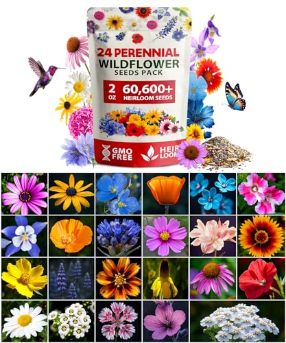 Premium Wildflower Seeds Bulk