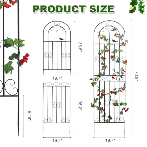 2 Pack 70.8" H x 19.7" W Metal Garden Trellis with Black Coating