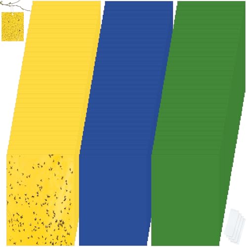 100 Pcs 6x8 Inch Yellow Blue Green Sticky Traps for Gnats (Yellow,Blue,Green)