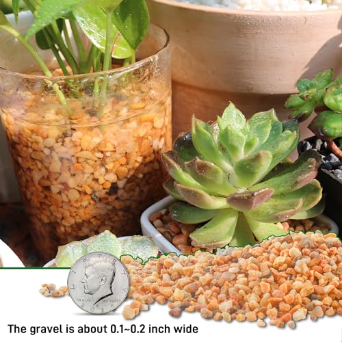 45lb Cactus Pea Gravel Rocks (720 Ounce)
