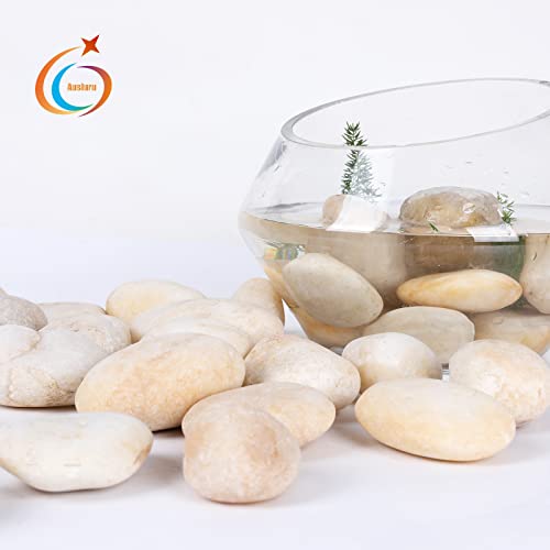 11LB Stones Pebbles River Rocks (11 Pounds / Cream White)