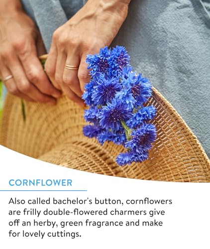 Wildflower 25