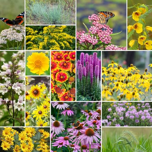 Erosion Control Flower Seed Mix (1/4 Pound / Erosion Control)
