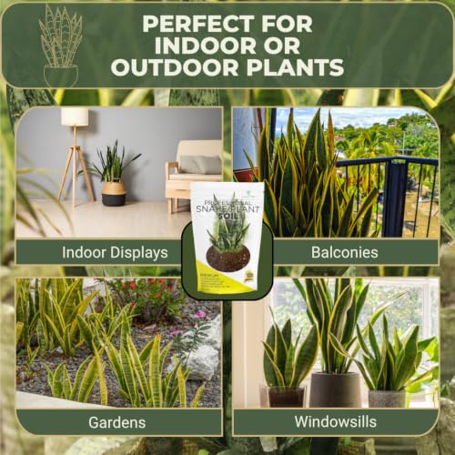 Leaves & Soul Snake Plant Potting Soil 8.2 Qt for Snake Plants Indoor (Snake Plant Soil / 8.2 Quarts)