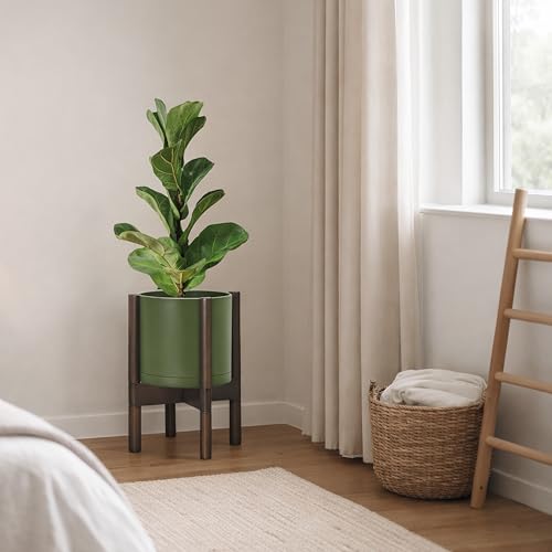 Plastic Pot with Walnut Wood Stand (Olive Pot + Walnut Color Stand / 8 Inch)