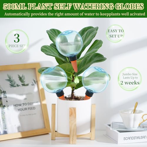 3pcs Large Plant Self Watering Globes (3pack / Blue)