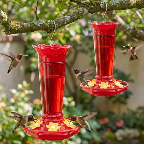 10 OZ Glass Hummingbird Feeders for Outdoors Hanging