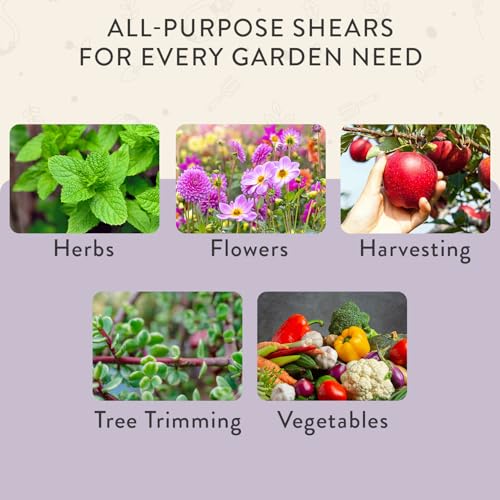 Pruning Shears (Lavender)