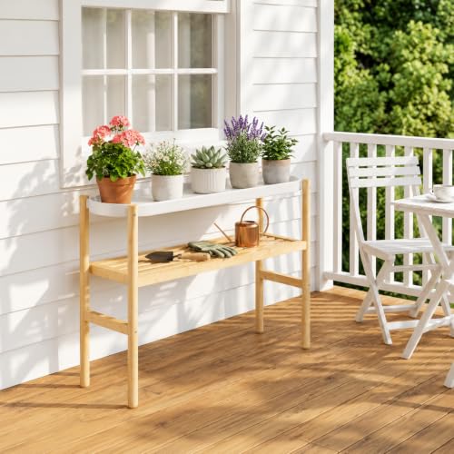 2 Tier Plant Stand Indoor (2 Count)