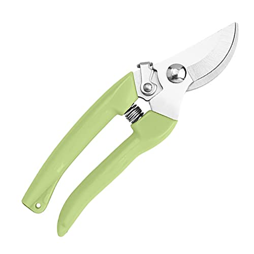 Curve Gardening Scissor with Sharp Stainless Steel Blade Garden Shears for Cutting Flowers Trimming Plants of Yard Florist Flower Rose Herb Hedge Bonsai and Fruits Picking