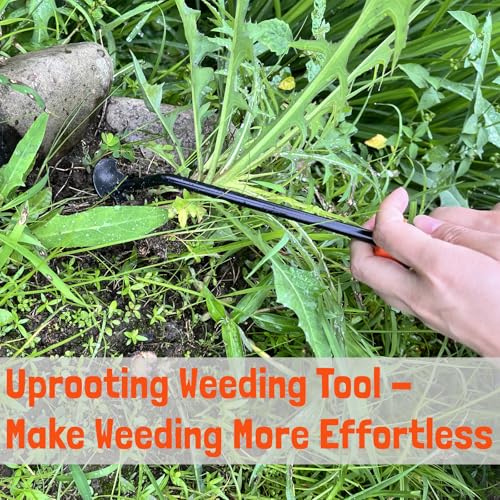 Hand Weeding Tool