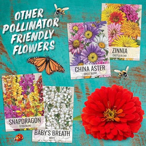 Flower Seeds Cosmos Original Crazy Blend 10+ Varieties Bulk Pack