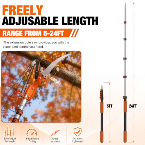 36FT Reach Tree Trimmer (30FT)