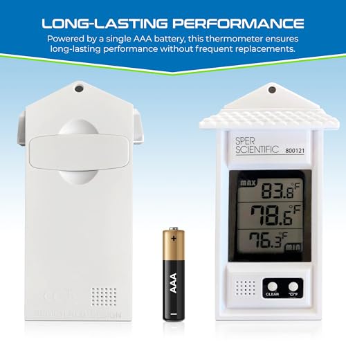 Compact Digital Min (4 Count)
