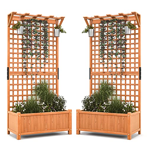 2 Pcs Raised Garden Bed with Trellis & Roof