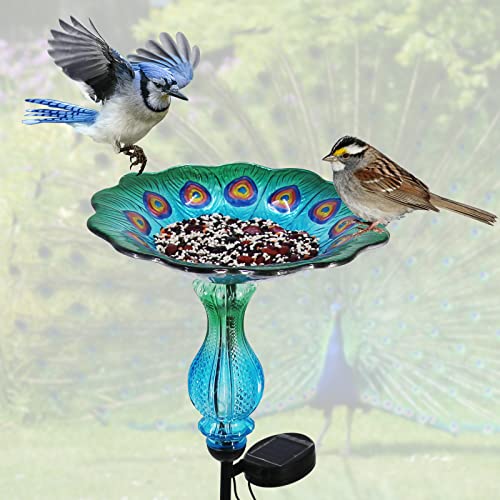 Peacock Bird Bath for Outdoor