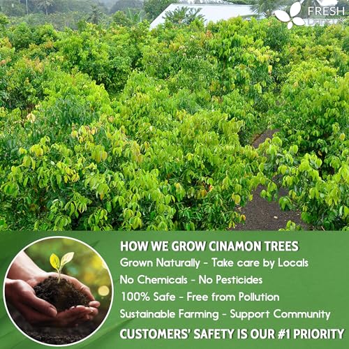 50+ (3oz) Natural Cinnamon Leaves, Whole Dried Cinnamon Leaves, 100% Pure from Dried Cinnamon Leaves, Cinnamon Leaf Tea, No Additives, No Caffeine, Vegan (50 Count)