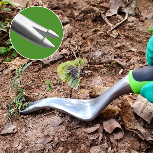 41 Piece Premium Gardening Tool Set (41 Count)
