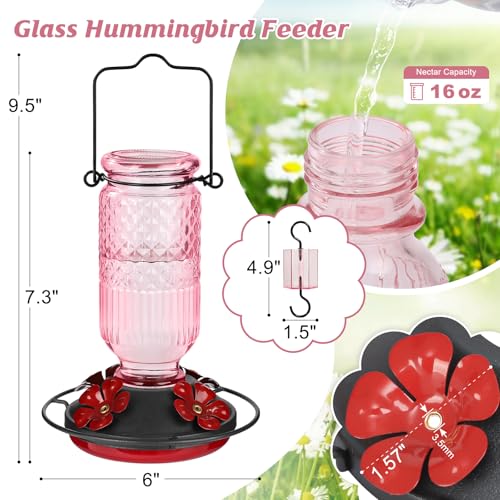 Glass Hummingbird Feeder for Outdoors Hanging