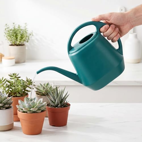 Watering Can Plastic 4 Litre Lightweight Water Sprayer Watering Bottle for Garden Outdoor House Flower Bonsai Plant
