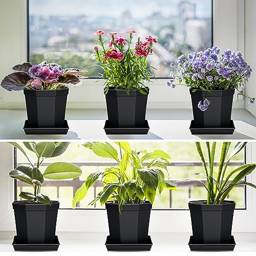 Square Plant Saucer 10 Inch 2 Pack (10"(2 pack) / Black)