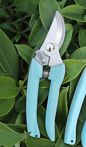 5pcs Garden Flower Shears Pruning Shears 6.9 inches Scissors Heavy Duty Plant Scissors for Cutting Flowers