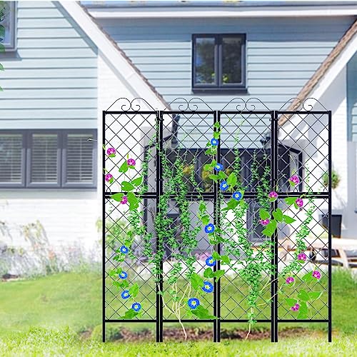 2 Pack Metal Garden Trellises for Climbing Plants