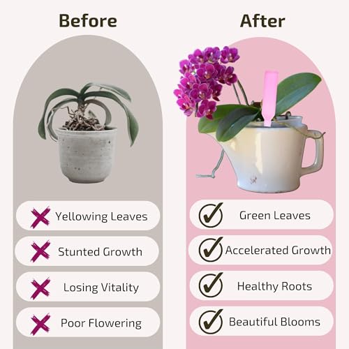 Liquid Orchid Fertilizer Spikes (Pack of 3 / Orchid Fertilizer)