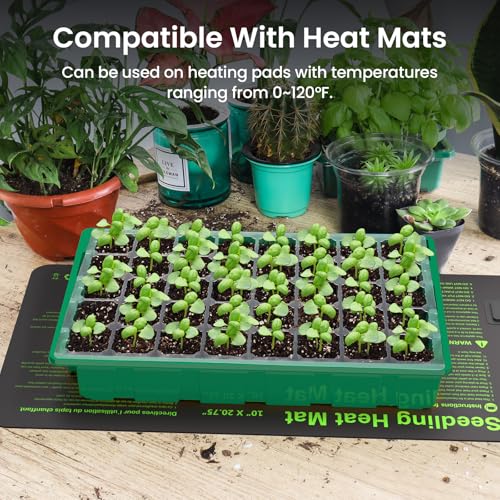 2 Pack Seed Starter Tray with Grow Light (2 Count)