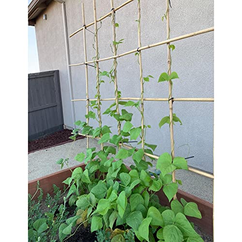 0.32”-0.4"/ 4 Feet Garden Stakes, Natural Bamboo Sticks Plant Stakes for Indoor and Outdoor Plants，Poles for Tomatoes, Beans, Potted Plants(50Pcs) (50.01 Count)