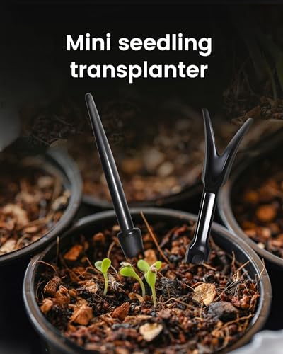 Mini Seed Spreader Set (6 Count)