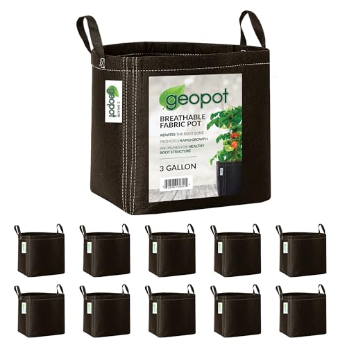 3 Gallon Fabric Grow Bags with Handles for Vegetables (10 Count)