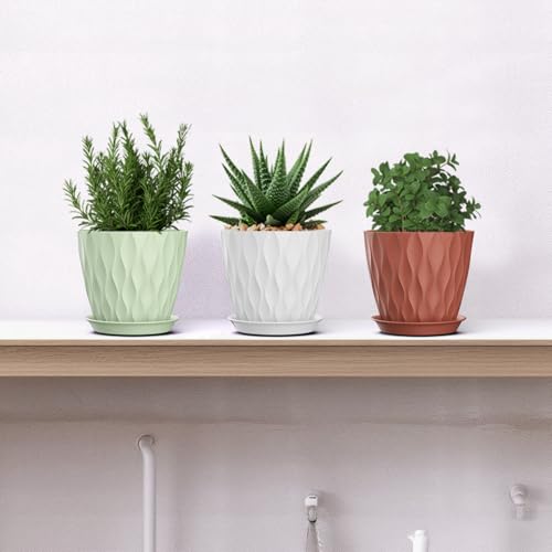 5 Inch Planter Pots (Colorful / 5inch)