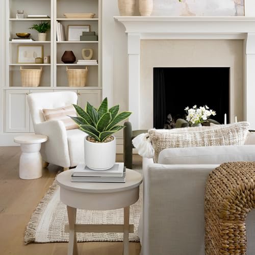 Artificial Agave Succulent Plants Faux Snake Plant Fake Succulent Agave Plants Potted in White Pot Succulent Aloe Plant for Desk Modern Office Living Room Table Shelf Home Indoor Outdoor Decor (Style 2)