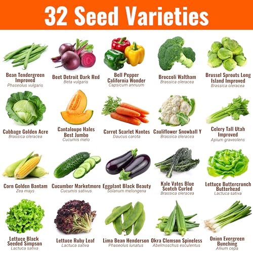 Vegetable & Fruit Seeds (32 Count)