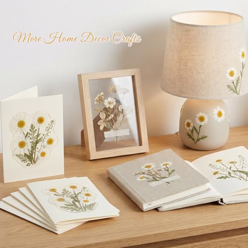48 Pcs Natural Dried Pressed Daisy Flowers for Cake Decorating (Daisy)