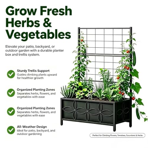 Sturdy Raised Garden Bed with Trellis