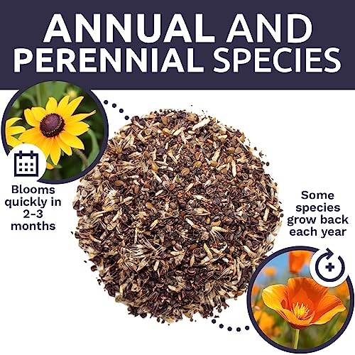 California Wildflower Mixture (7000 Count)