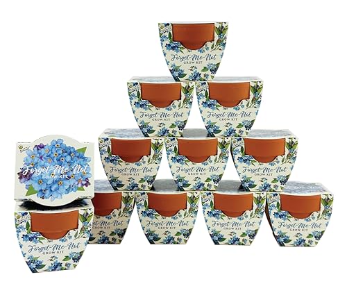 Seeds Forget Me (12 Count)