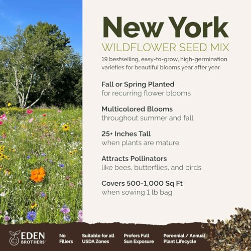 New York Wildflower Mixed Seeds for Planting