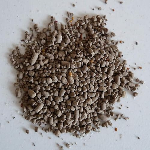 Shady Wildflower Mix (96 Ounce)