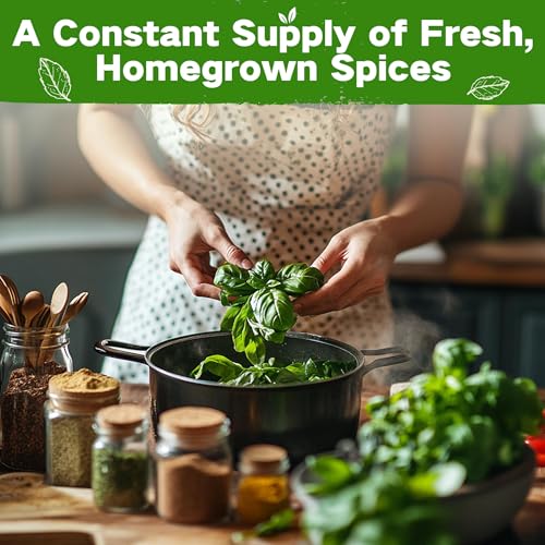 Lush&Dew Culinary Herbs Garden Seed Bank (16 Count)