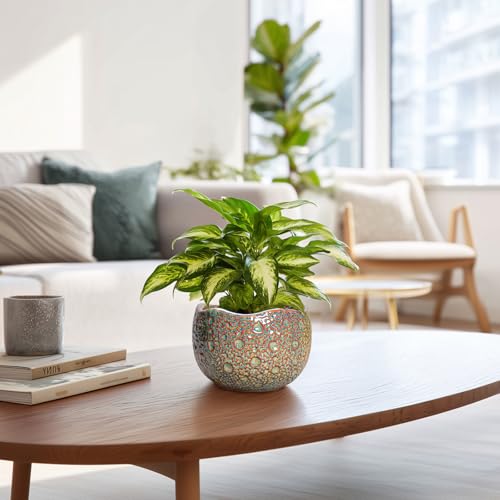 Ceramic Plant Pots (6.2 Inch / Speckled-brown)