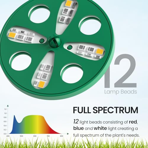2 Pack Seed Starter Tray with Grow Light (2 Count)