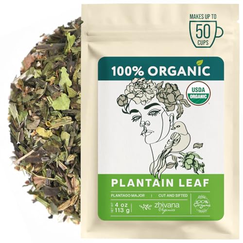 Broadleaf Plantain Leaf Tea Organic 4oz (4 Ounce)