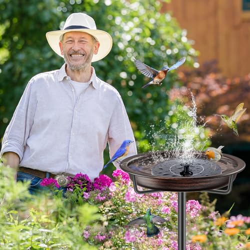 Bird Baths for Outdoors (Retro Brown)