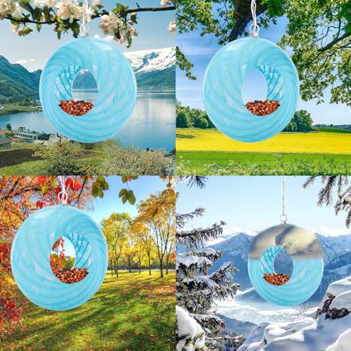 Glass Bird Feeder