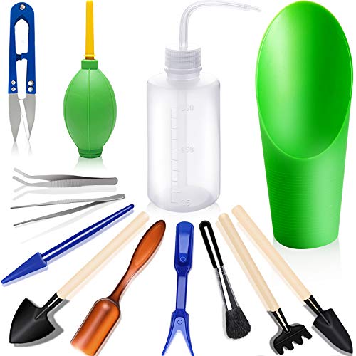 Succulent Tools