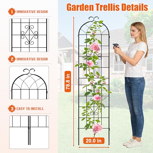78.4 x 80in Rustic Iron Arch Decoration Garden Trellis with Black Metal Coating (Black / 78.4"H x 80"W)