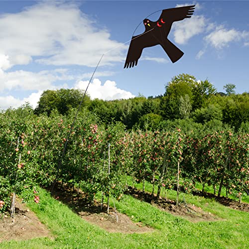 Bird Scarer Kite Without Pole Bird Hawk Flying Kite
